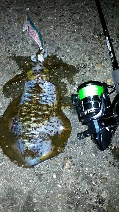 絶好のコンディション