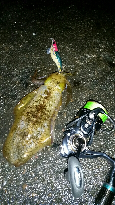 2日連続印南へ。