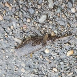 久しぶりの餌釣り