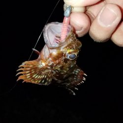 ライトタックル