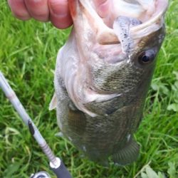 冬の紀の川本流40UPバス！！