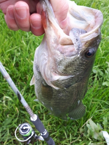 冬の紀の川本流40UPバス！！