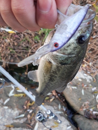 12月23日紀の川釣行