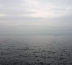 雨上がりの釣行