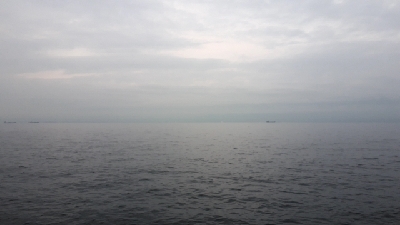 雨上がりの釣行