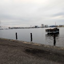 煮付け用カサゴを求めて釣り納め