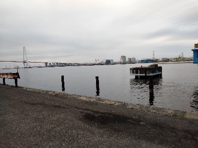 煮付け用カサゴを求めて釣り納め