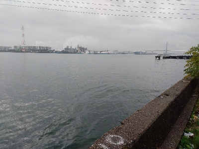 今年最後のクロダイ？