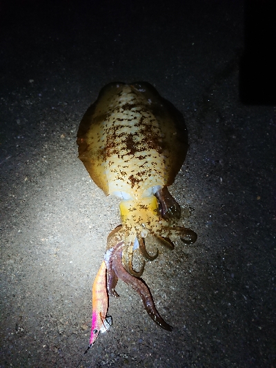 人がいない(笑)