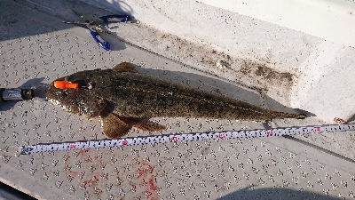 ボートマゴチング！