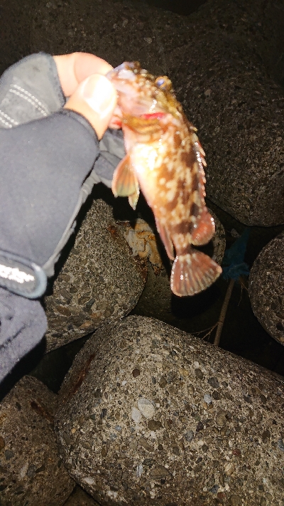 強風で寒かった…