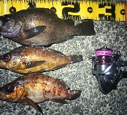 仕事終わりメバリング