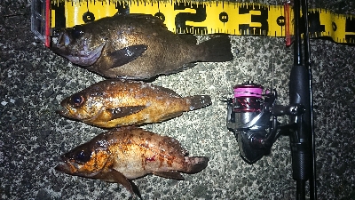 仕事終わりメバリング