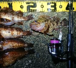 年末天気が荒れる前に