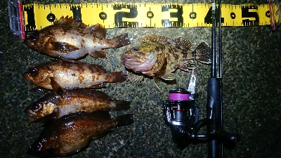 年末天気が荒れる前に