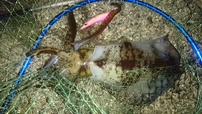 風に負けそうになりながら