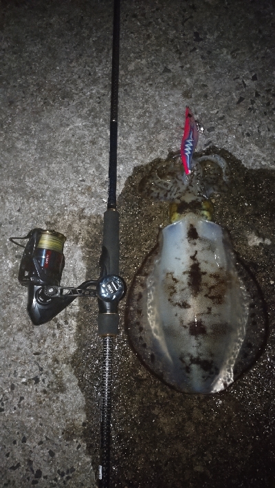 苦手なナイトエキングで