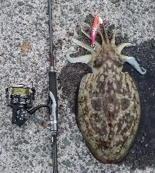 出張でちょいエキング