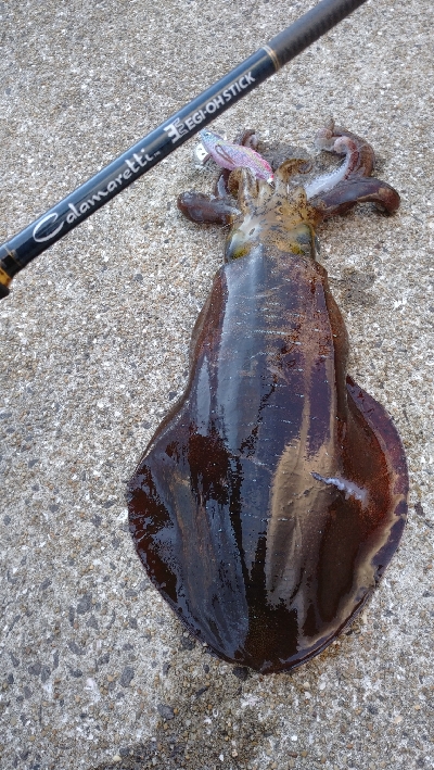 出張でエキング