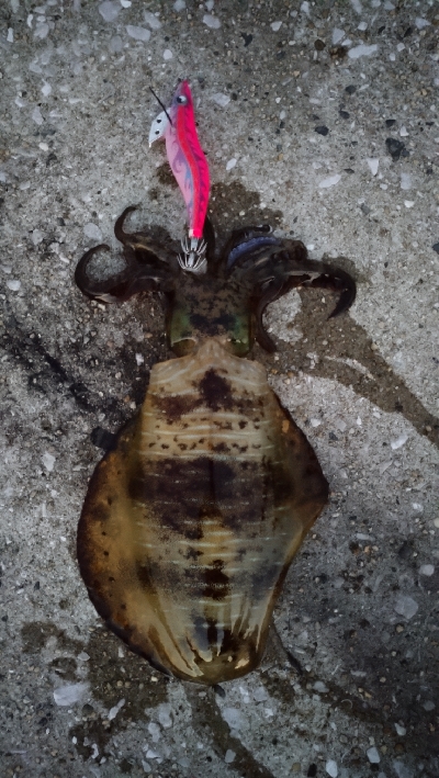 今年の地元最終戦