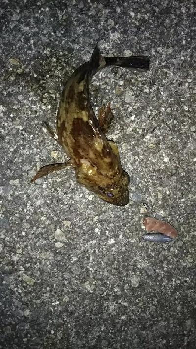 寒くなってきました