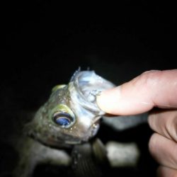 ランガンメバリング