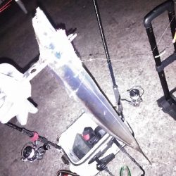 今季初のつ抜け