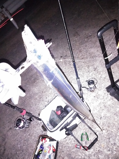 今季初のつ抜け