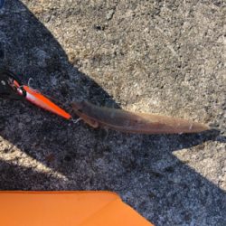 和田防ももう終わり？