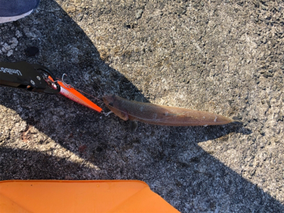 和田防ももう終わり？