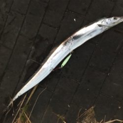 やっぱり渋い、、、