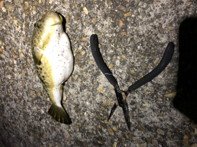 フロートゲーム