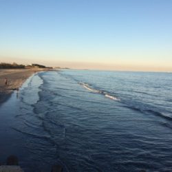 初心者の陸っぱりライトキャスティングゲーム