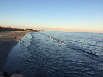 初心者の陸っぱりライトキャスティングゲーム