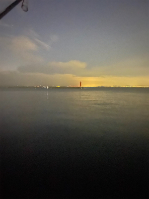 試し釣りでゲット!