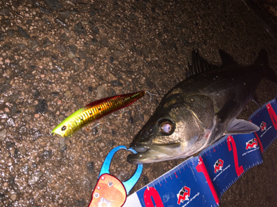 ウェイクベイト大活躍