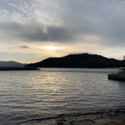 シーズン終盤エギング