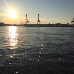 イケア裏でプラッギング F4タチウオ爆釣！