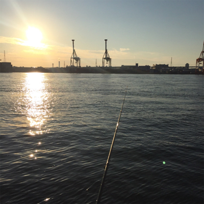 イケア裏でプラッギング F4タチウオ爆釣！