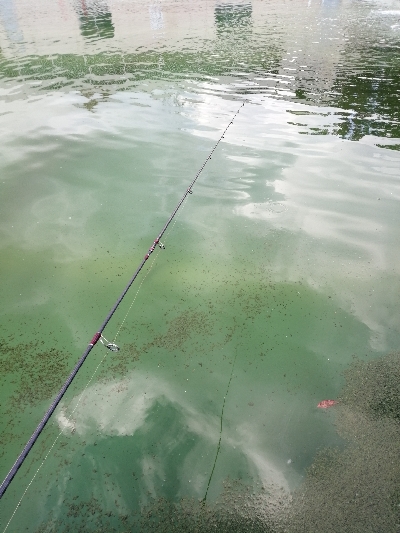 岸和田フィッシングパーク