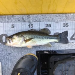 午前中ボート釣行!