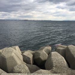 ショアジギング