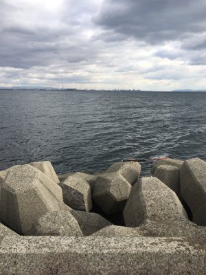 ショアジギング