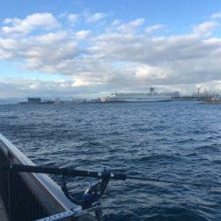 ハマチ 不発　タチウオ好調