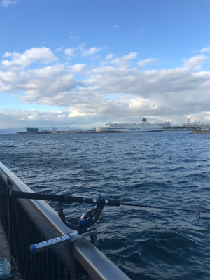 ハマチ 不発　タチウオ好調