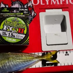 アジング練習 70