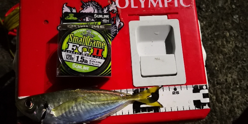 アジング練習 70