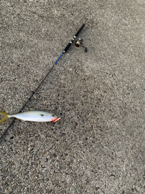 めちゃくちゃ楽しかった!ショアジギング