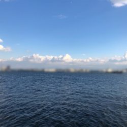 癒し系始まりました