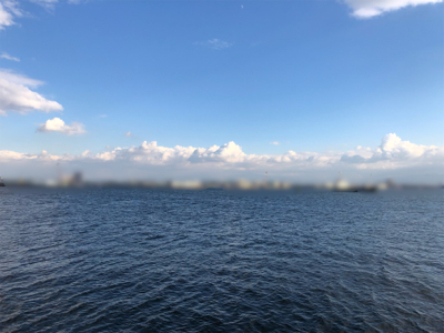 癒し系始まりました